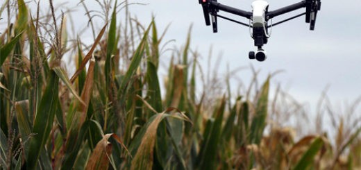 Crop Surveying Drones